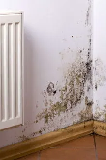 Humidade por Capilaridade