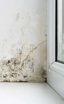 Humidade por condensação em janela