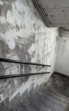 Humidade por Infiltrações do Subsolo